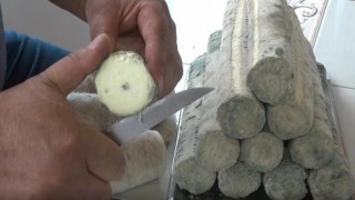 Çorumun 1650 rakımlı yaylasında üretilen peynire ilgi büyük
