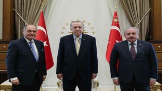 Cumhurbaşkanı Erdoğan, Avusturya Meclis Başkanı Sobotkayı kabul etti