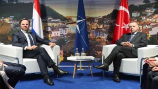 Cumhurbaşkanı Erdoğan, Hollanda Başbakanı Rutte ile görüştü