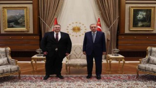 Cumhurbaşkanı Erdoğan, Rusya Federasyonu Başbakan Yardımcısı Overchuku kabul etti