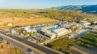 Denizden döviz çıktı