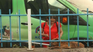 Derede mahsur kalan köpek, ekipleri peşinden koşturdu