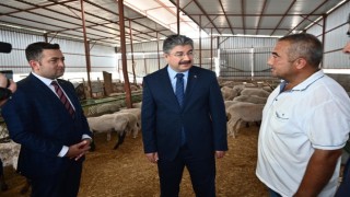 Devlet desteğiyle 100 koyunluk sürü sahibi oldu