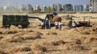 Diyarbakırda milyonluk siteler arasında ‘imece usulü hasat
