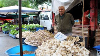 Doğal antibiyotik, fiyatı artmayıp düşen tek sebze oldu