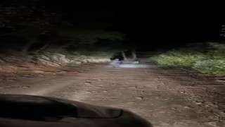 Domuzun saldırısından kıl payı kurtuldu