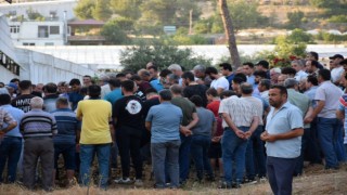 Edebiyat öğretmeni beyin tümörüne yenik düştü