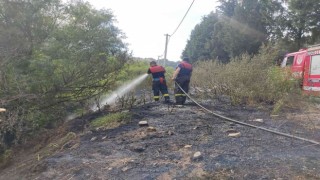 Efelerde arazi yangını