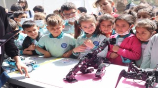 Eğlencesi bol bir yaz sizi bekliyor