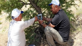 Elazığda fotokapanların bakımı yapıldı