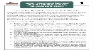 Elazığda ormanlık alanlara girişler yasaklandı