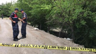 Elazığda tarla sulama kavgası: 5 yaralı