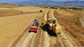 Elazığda yılın ilk arpa hasadı gerçekleştirildi