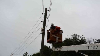 Elektrik direğinde mahsur kalan kedi, ekiplerden korkup kendisi indi