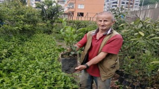 Emekli olduktan sonra hobi olarak başladığı fidan yetiştiriciliği mesleği oldu