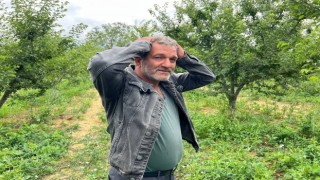 Erik tarlası soyulan çiftçiden hırsıza mesaj: İşçilik güzel kendisiyle çay içmek istiyorum