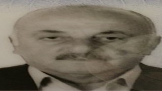 Erik toplamak için çıktığı ağaçtan düşerek öldü