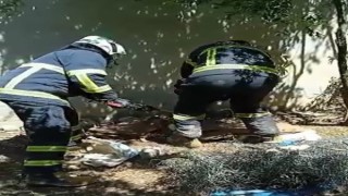 Evin bahçesindeki 2 metre uzunluğundaki yılan yakalanarak doğaya bırakıldı