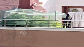 Evinin terasını uyuşturucu tarlasına çevirdi, polis operasyonuyla yakalandı