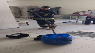 Fethiyede yılan paniği