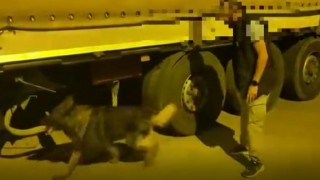 Gaziantep 5 bin 300 paket kaçak sigara ele geçirildi