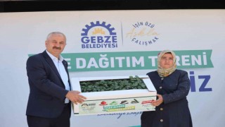 Gebzeli çiftçilere fide desteği