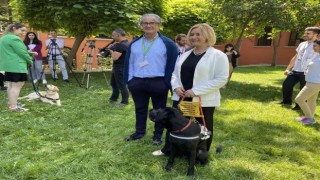 Görme engellilerin yol arkadaşı “rehber köpekler”