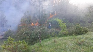 Göynükte orman yangını kontrol altına alındı