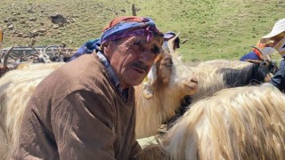 Hakkaride 2 bin küçükbaş hayvan dağıtıldı