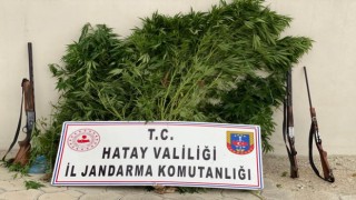 Hatayda uyuşturucu operasyonu