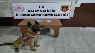 Hatayda uyuşturucu operasyonu: 5 gözaltı