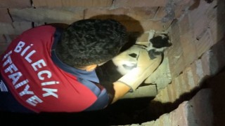 Havalandırma boşluğunda mahsur kalan yavru kediyi kurtarıldı