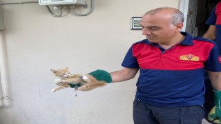 Havalandırma boşluğundaki kedi kurtarıldı