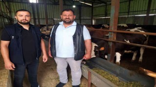 Hayvan dolandırıcılığına dikkat