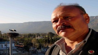 Hayvan sever Muhtar leylek yuvalarını temizletti