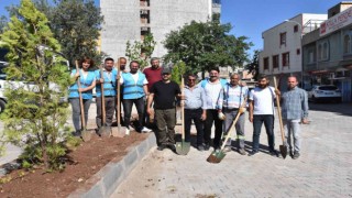 Hayvan severler çevre gününde ağaç dikti