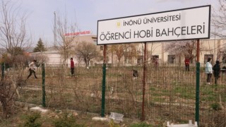 Hobi bahçeleri öğrencilerin hizmetinde