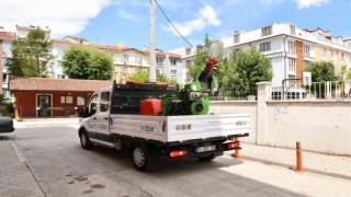 İlaçlama çalışmaları sürüyor