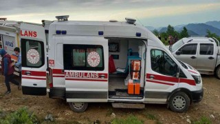 İneği ile birlikte uçuruma yuvarlanan kadın hayatını kaybetti
