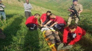 İnek tepmesi sonucu yaralanan şahıs hastaneye yetiştirildi