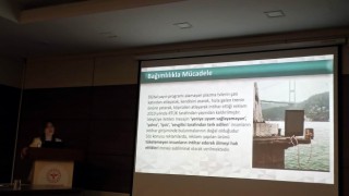İntiharları tetikleyen olaylar