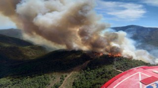 İspanyada orman yangını: 3 yaralı