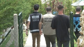 İstanbul merkezli 14 ilde tropik hayvan kaçakçılarına operasyon: 62 gözaltı