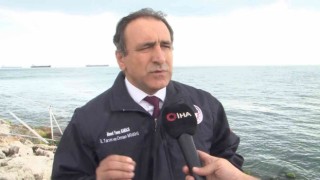 İstanbulda Marmara Denizinde ‘Pusula Deniz Anası tehlikesi
