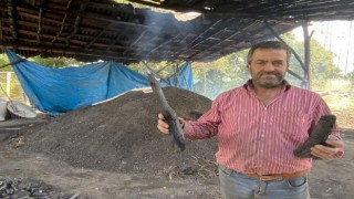 İstanbulun mangal kömür ihtiyacı Şileden karşılanıyor