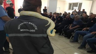 İtfaiye erlerine yılanlı eğitim