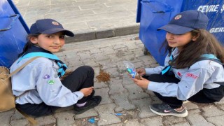 İzci öğrenciler sokak hayvanlarını besledi