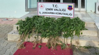 İzmirde 11 ilçede uyuşturucu operasyonu: 25 şüpheliye işlem