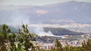 İzmirde ağaçlık alanda yangın kontrol altında