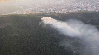 İzmirde ormanlık alanda yangın